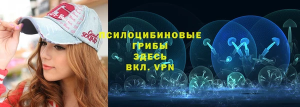 МДПВ Белокуриха