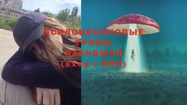 МДПВ Белокуриха