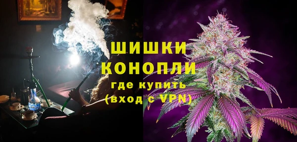 прущие грибы Балахна