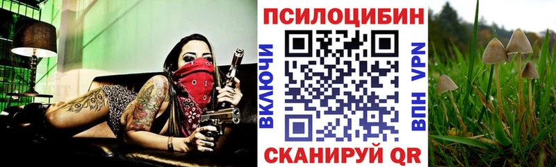 Галлюциногенные грибы Magic Shrooms  Котово 